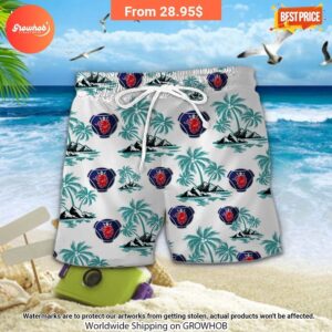 scania hawaiian shirt and short 11