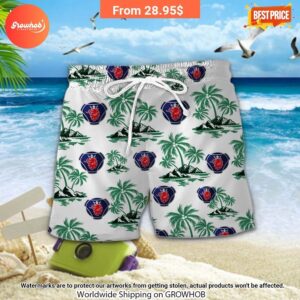 scania hawaiian shirt and short 14