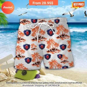 scania hawaiian shirt and short 17