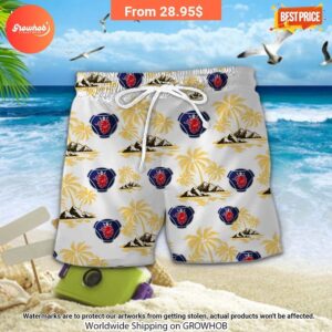 scania hawaiian shirt and short 23