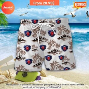 scania hawaiian shirt and short 8