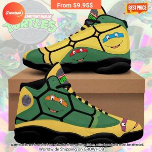 Teenage Mutant Ninja Turtles Air Jordan 13