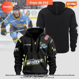 Toledo Walleye Half Zip Hoodie